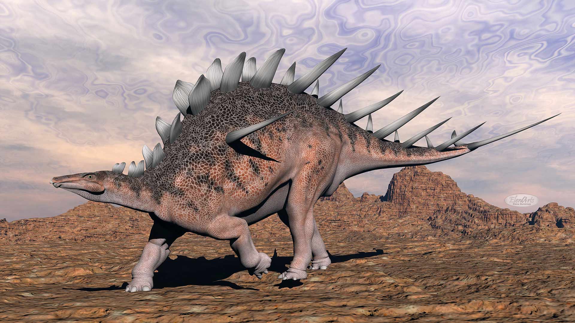 Kentrosaurus dinosaur walking in the desert by cloudy sunset light
