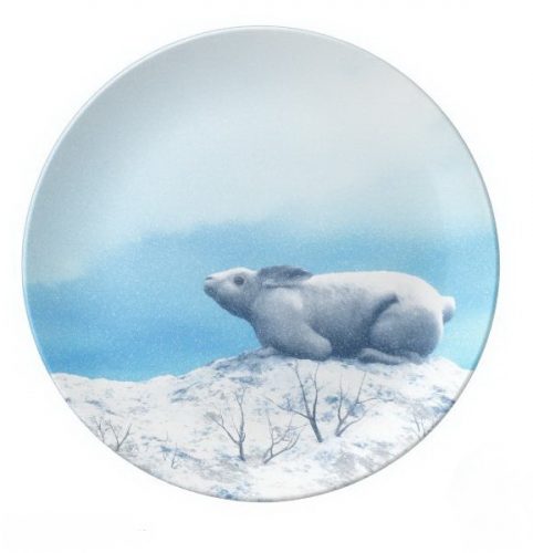 Arctic hare or polar rabbit dinner plate